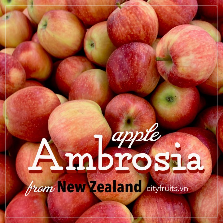 Táo Ambrosia l New Zealand (1kg)